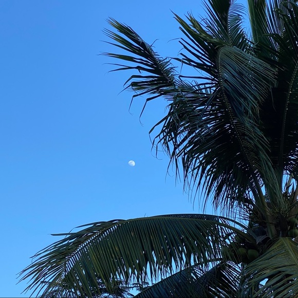 Meet your Posher, Bethania - Picture 1 of 1